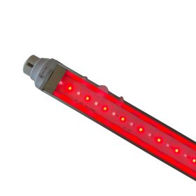 iLED Tan LED TUBE COLL + IR static 60 W			