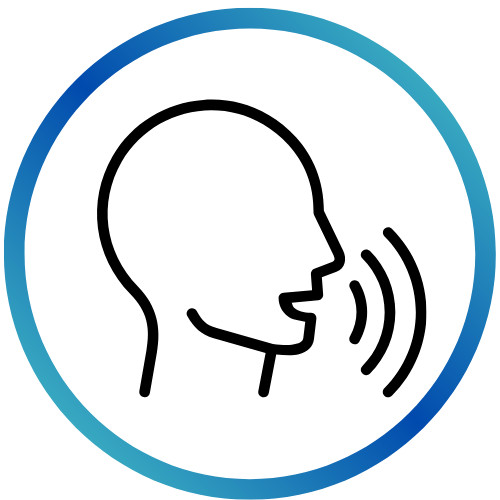 VOICE HANGSEGÉDLET